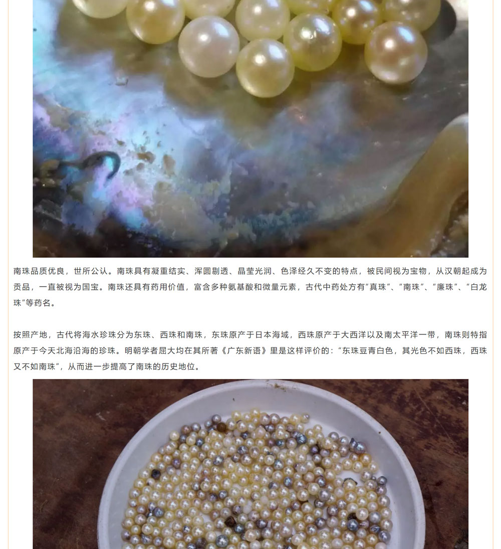 古老南珠，綻放異彩